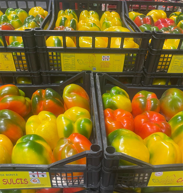 Peperoni - Piemonte - 2,20/2,40 euro al chilogrammo
